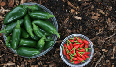 Marriage And organic Have More In Common Than You Think