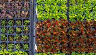 Read This Controversial Article And Find Out More About organic